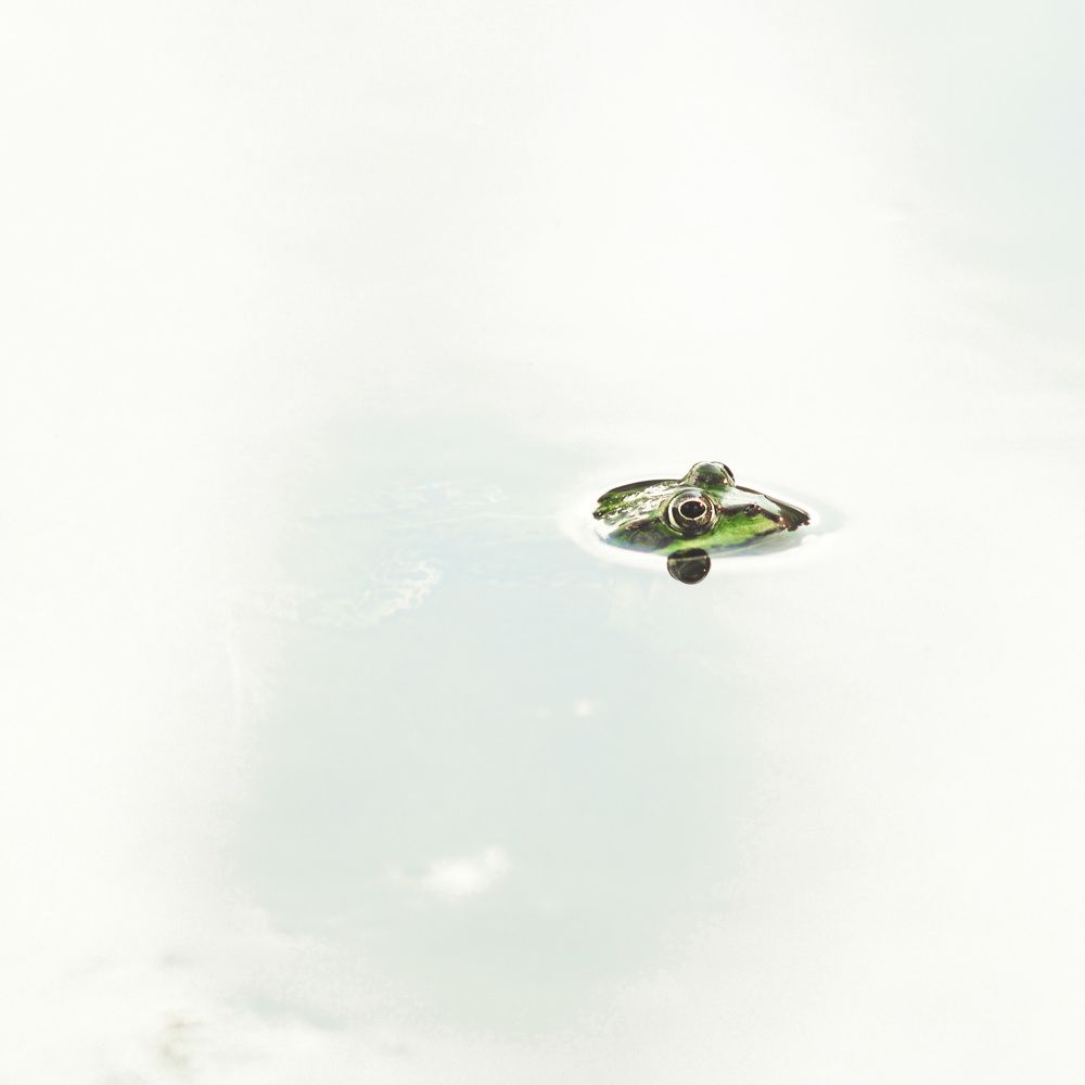 Photograph by Ирина Протченко