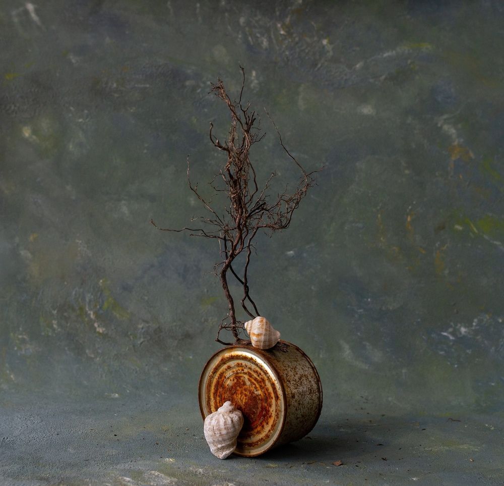 Photograph by Валерия Левшина