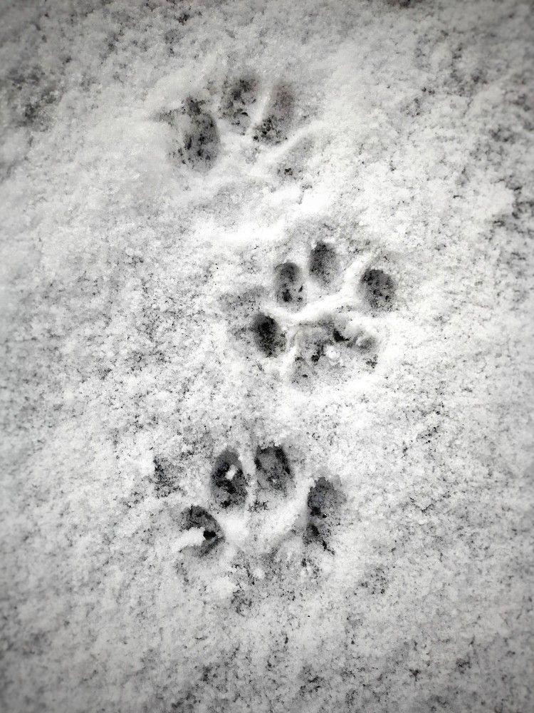 Photograph by Наталия Гнатова