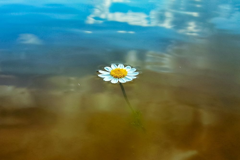 Photograph by Brwa Hama sharif