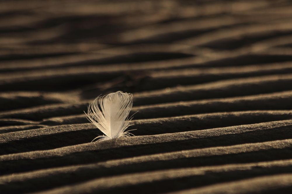 Photograph by Наталья Загайнова