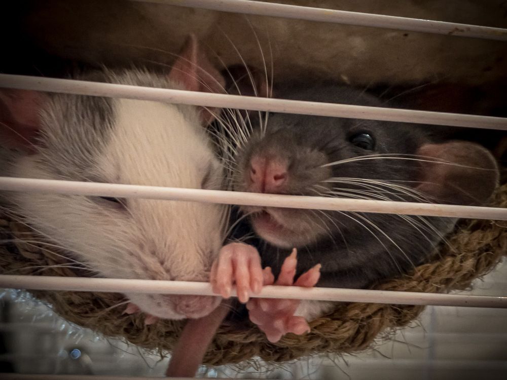 Photograph by Марина Хавронина