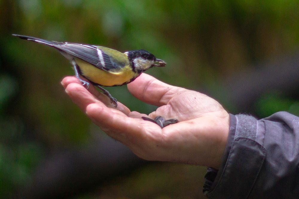 Photograph by Виталий Маслов