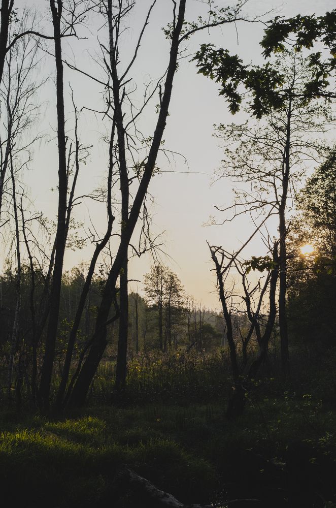 Photograph by Батыраў-Гаўсс Вячаслаў