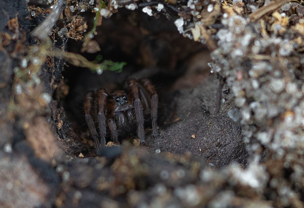 Photograph by Piotr Hryniak