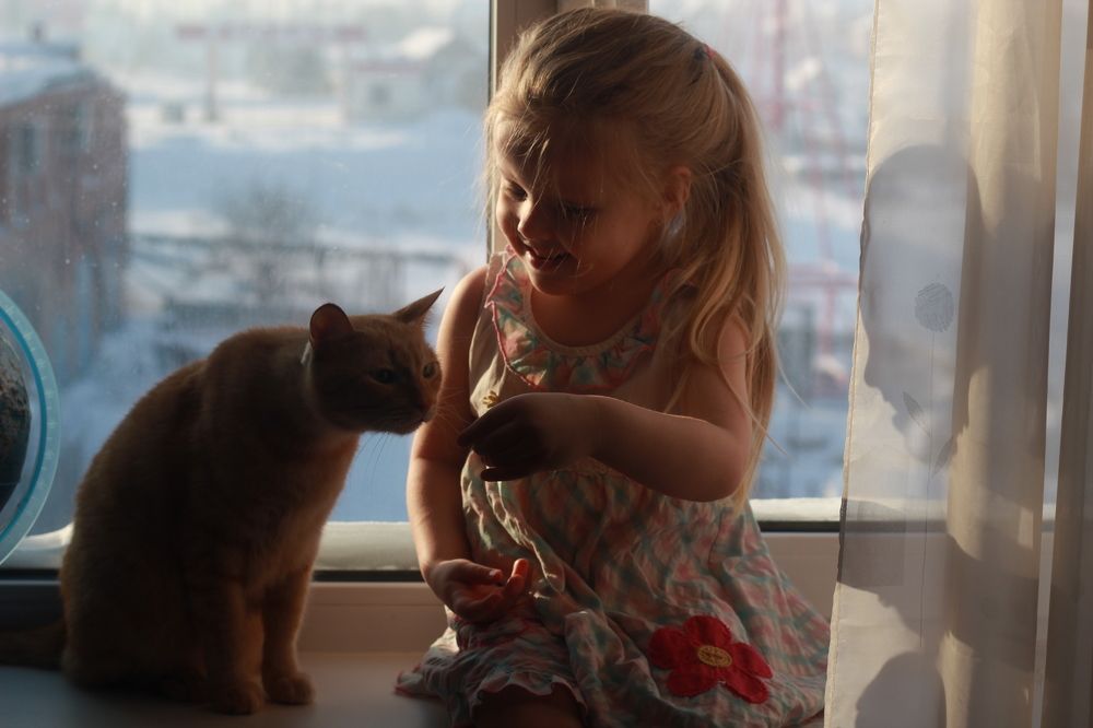 Photograph by Евгения Даниленко