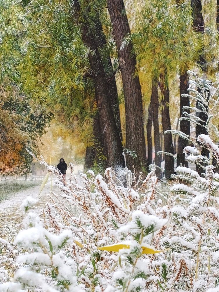 Первый снег