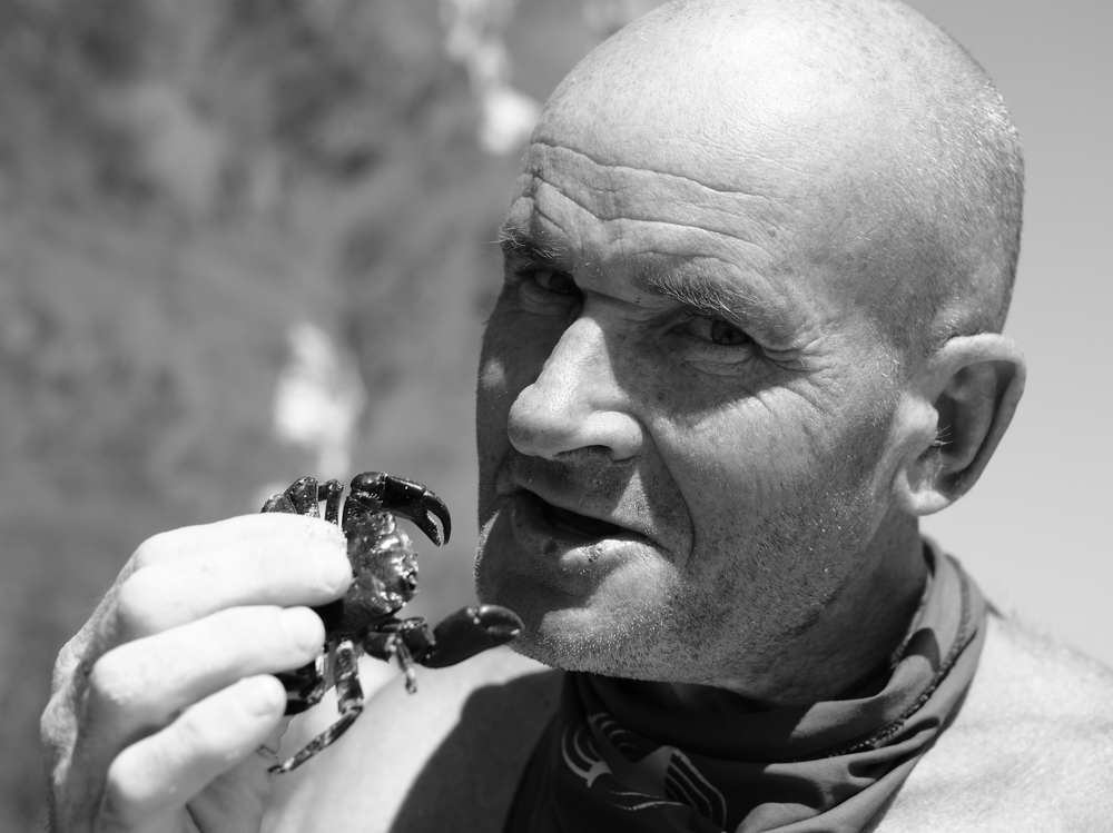 Photograph by Михаил Нестеренко