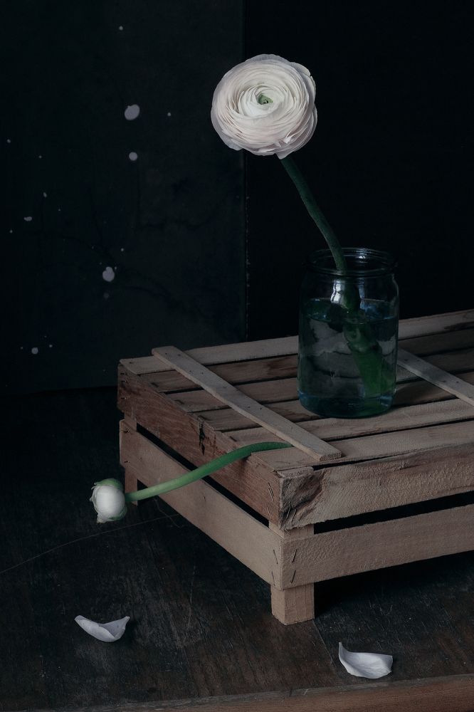 Photograph by Олеся Неволина-Лопатина