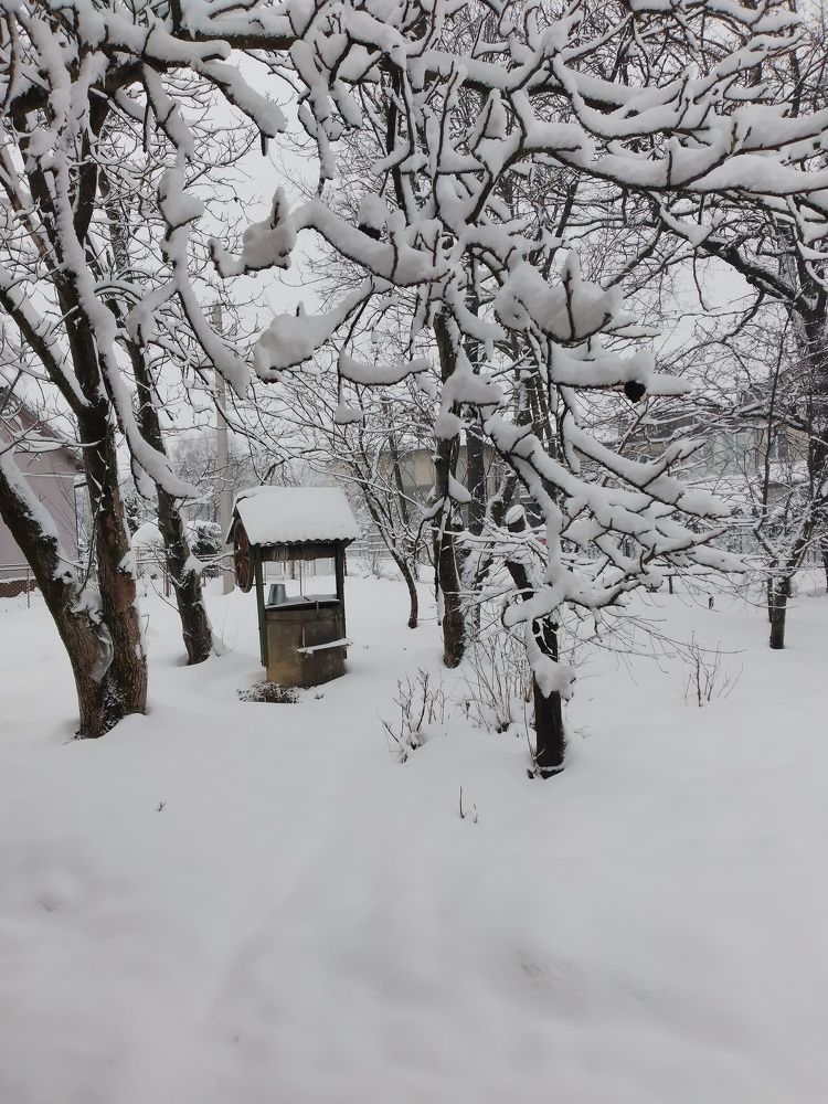 Photograph by Надія Дичка