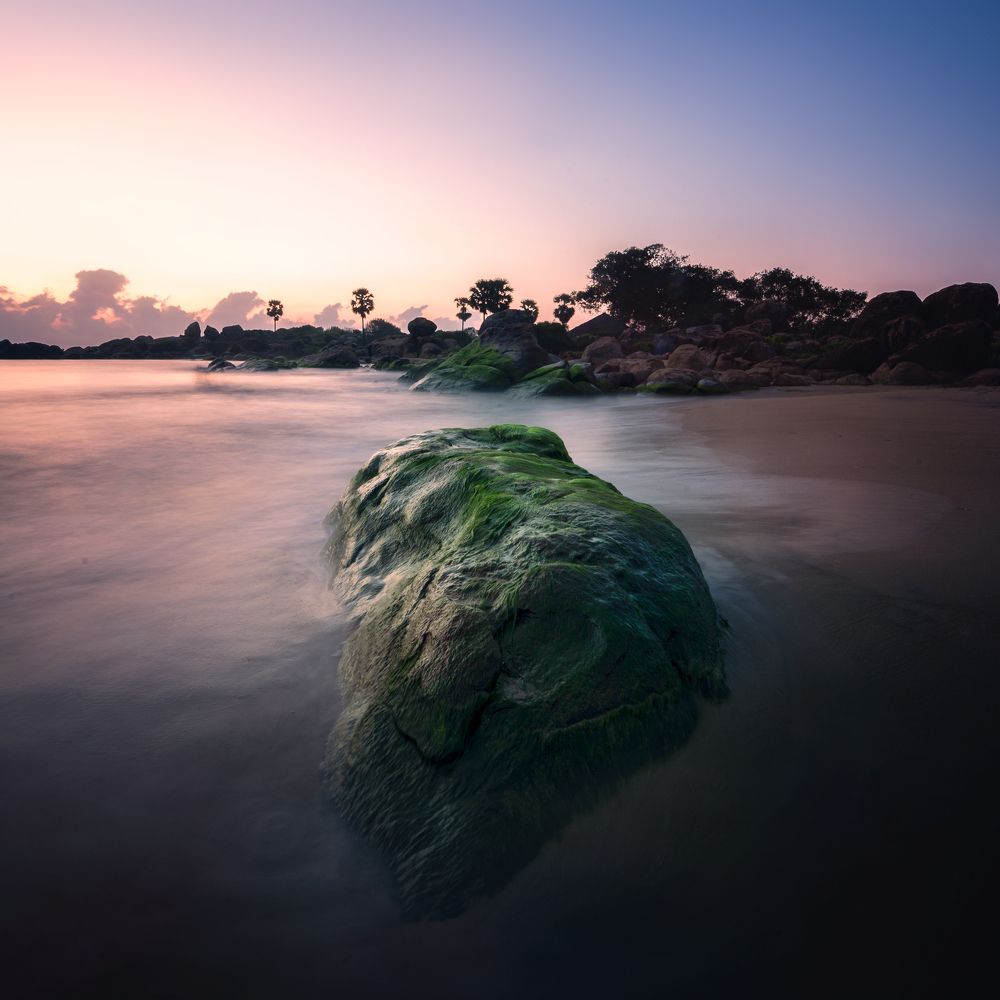 Photograph by Sameera Madusanka