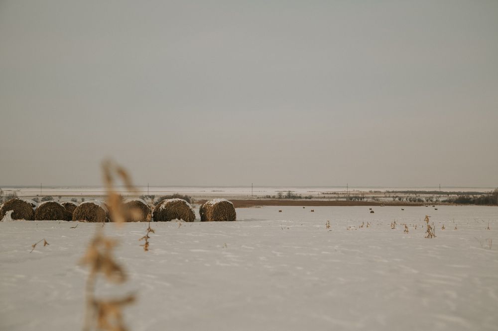 Photograph by Астафьева Ирина