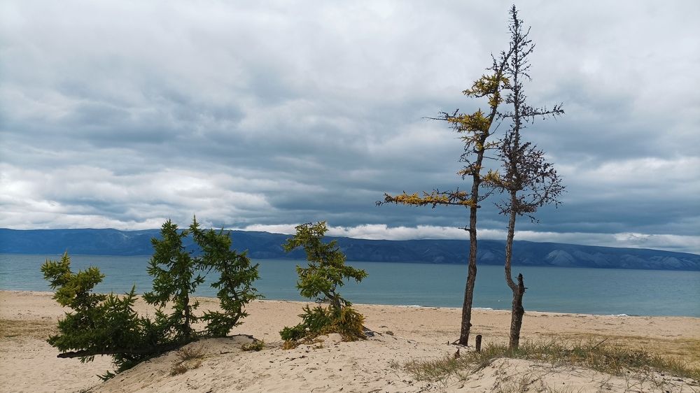 Photograph by Анастасия