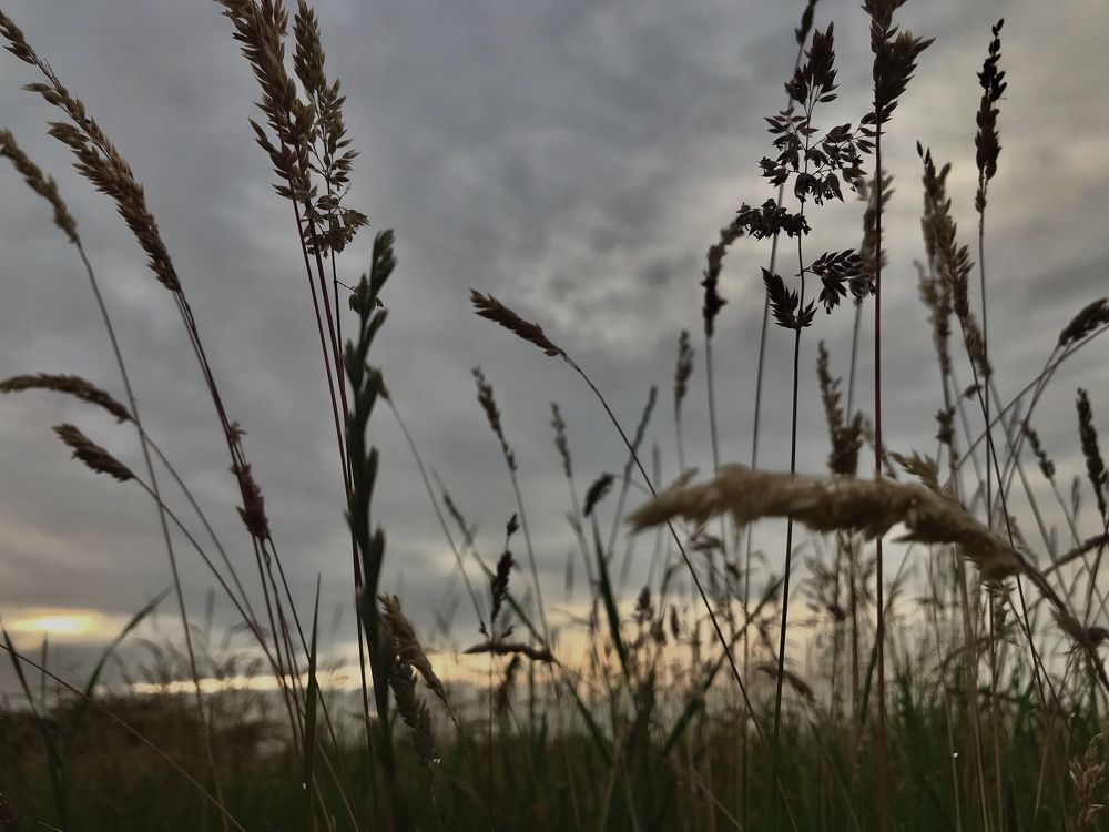 Photograph by Valentina Jegorova