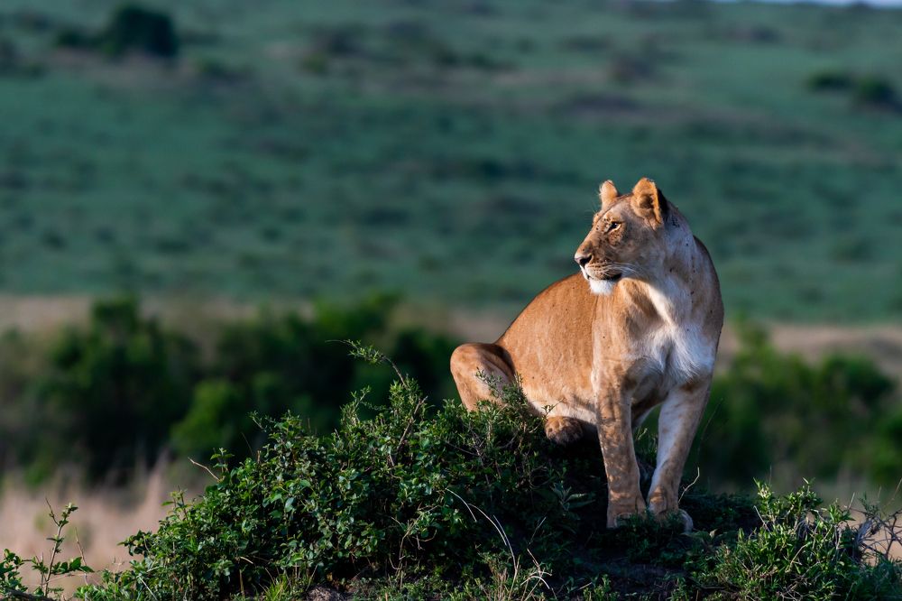 Фотография автора Hari Govindarajulu