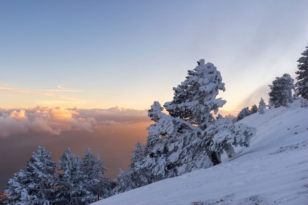 Photograph by Полякова Александра