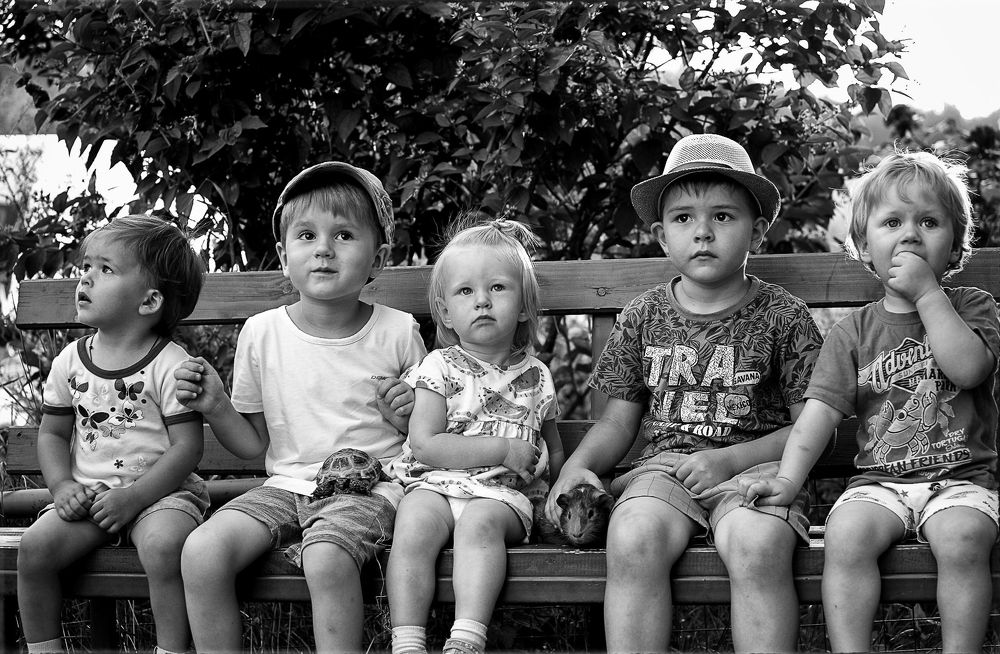 Photograph by Александр Остапчук