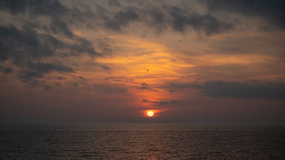 Photograph by Мезенин Сергей