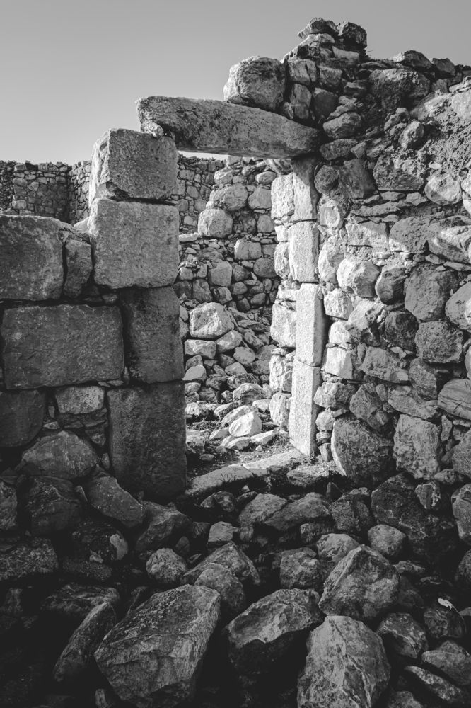 Photograph by Ali Abu Ras