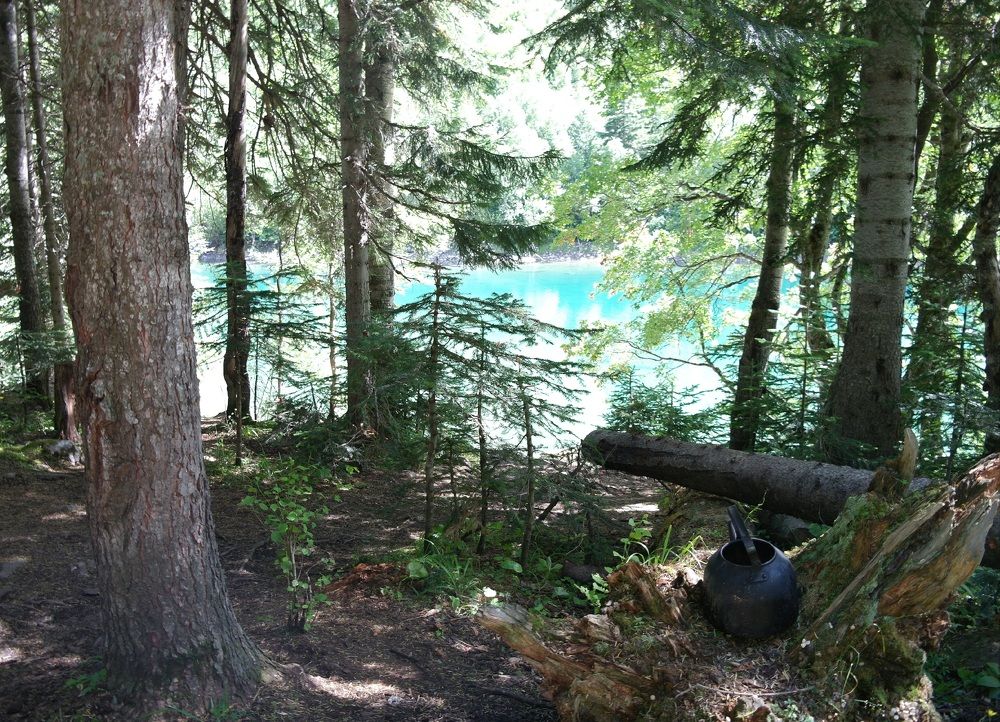 Photograph by Ирина Дронова