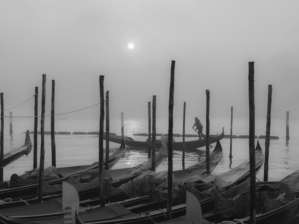 Photograph by Елизавета Калинина