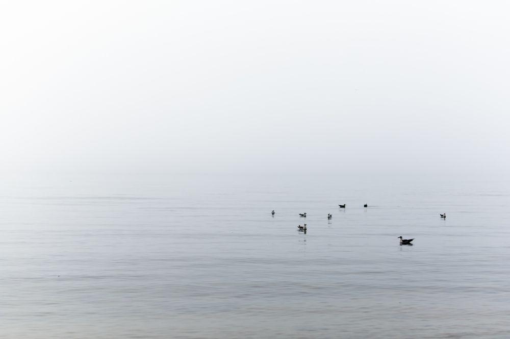 Photograph by Юлия Журавель