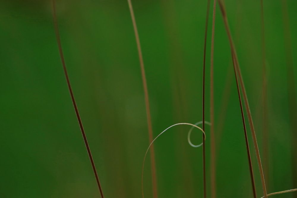 Photograph by VictОr