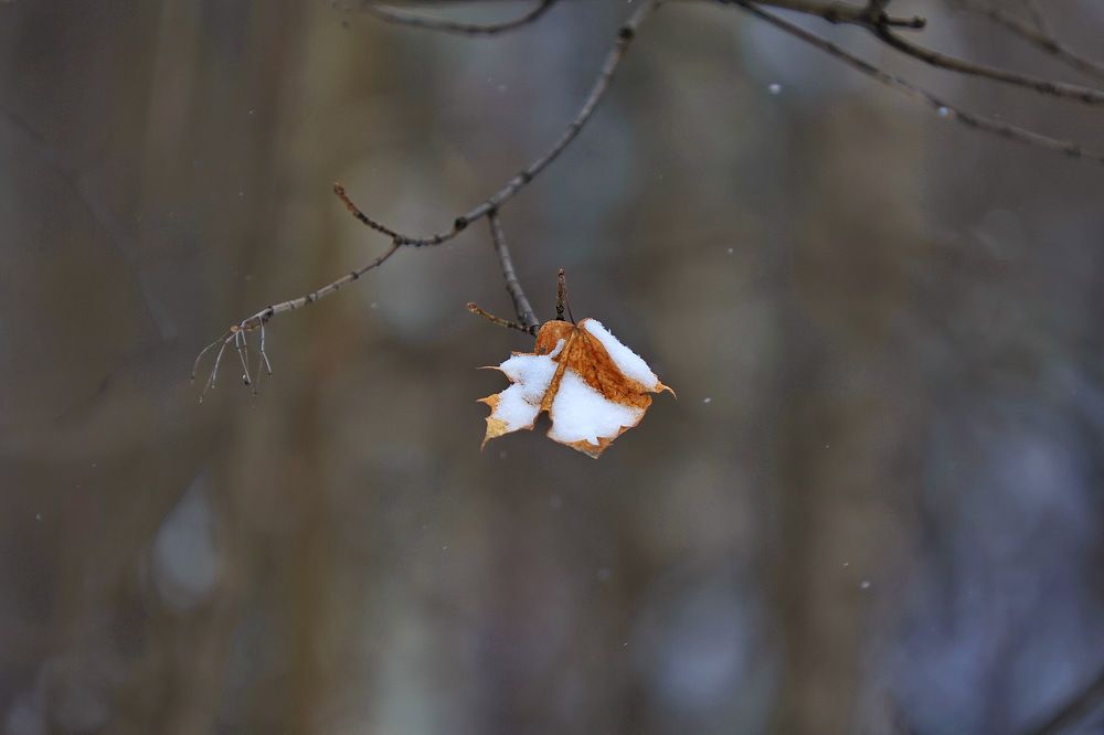 Photograph by VictОr