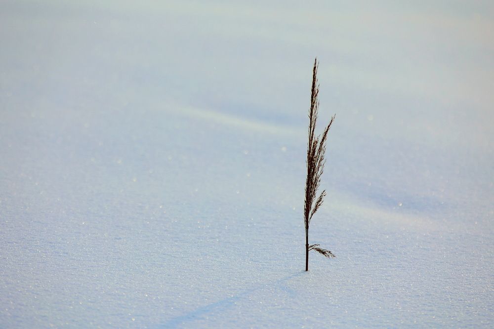 Photograph by VictОr