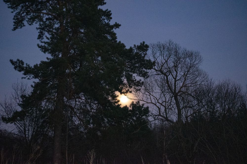 Photograph by Галина Завязкина