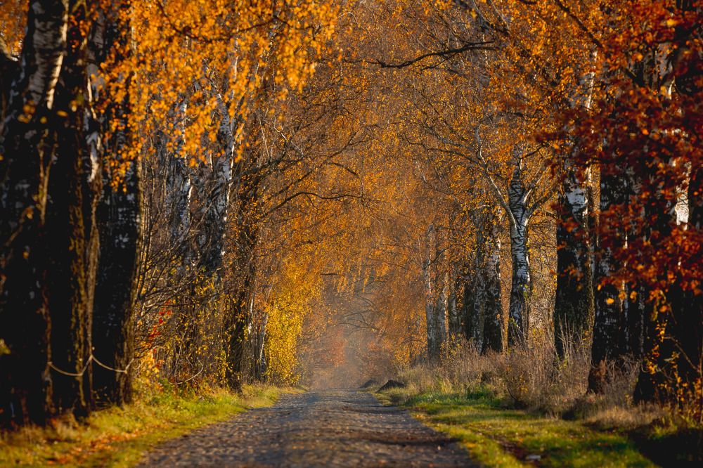 Photograph by Wiktor Kulesa