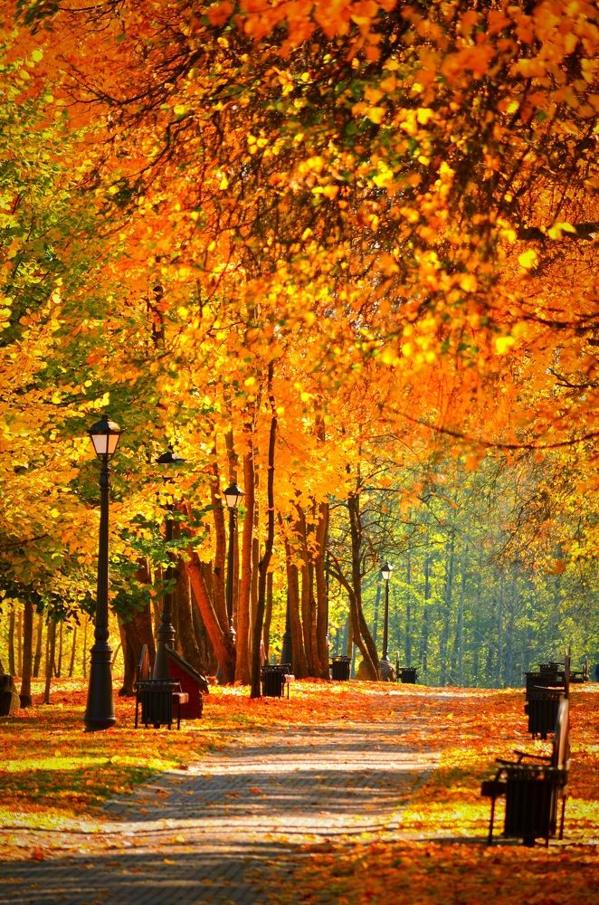 Лошицкий Парк в г.Минск, Беларусь