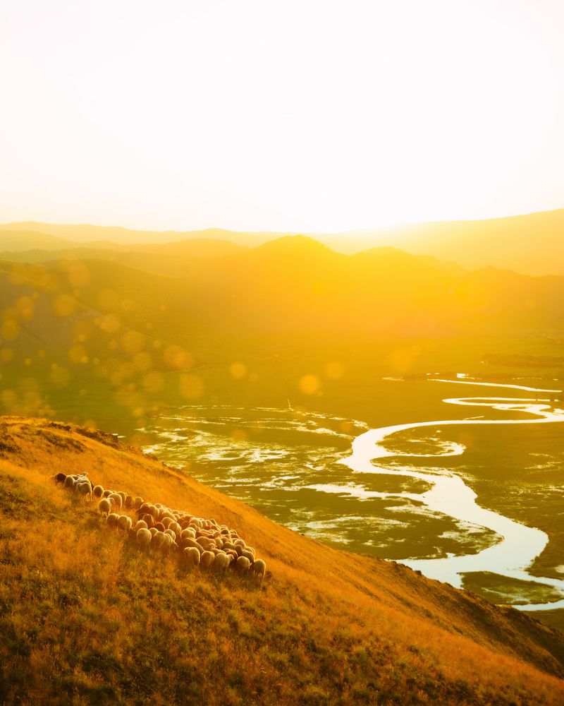 Photograph by Алексей Байфа