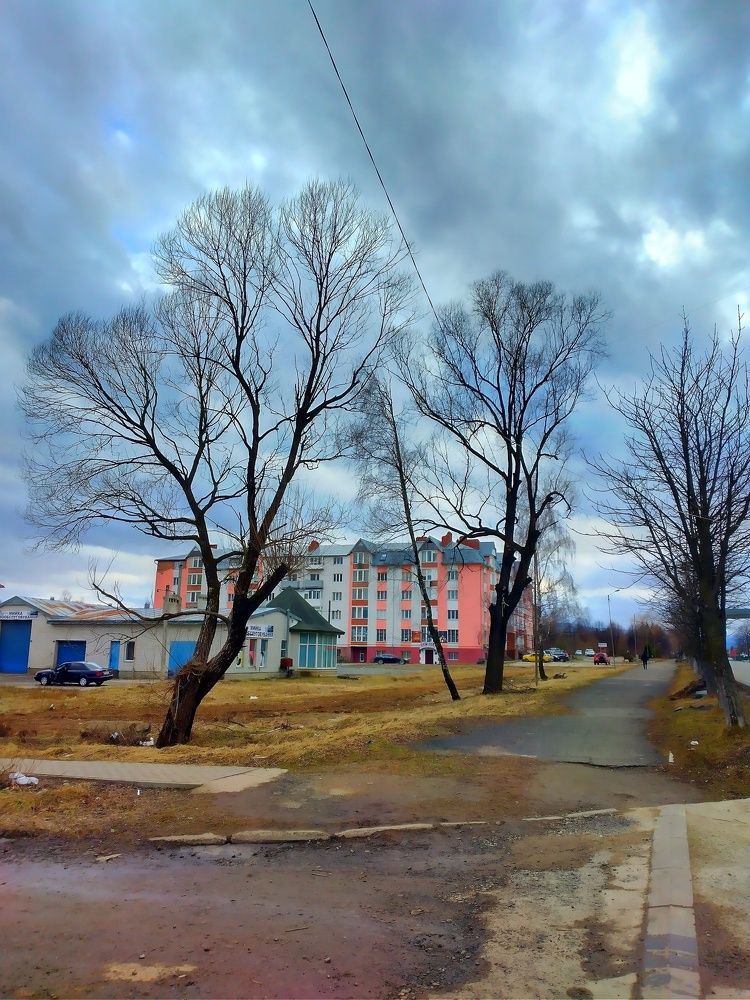 Photograph by Надія Дичка