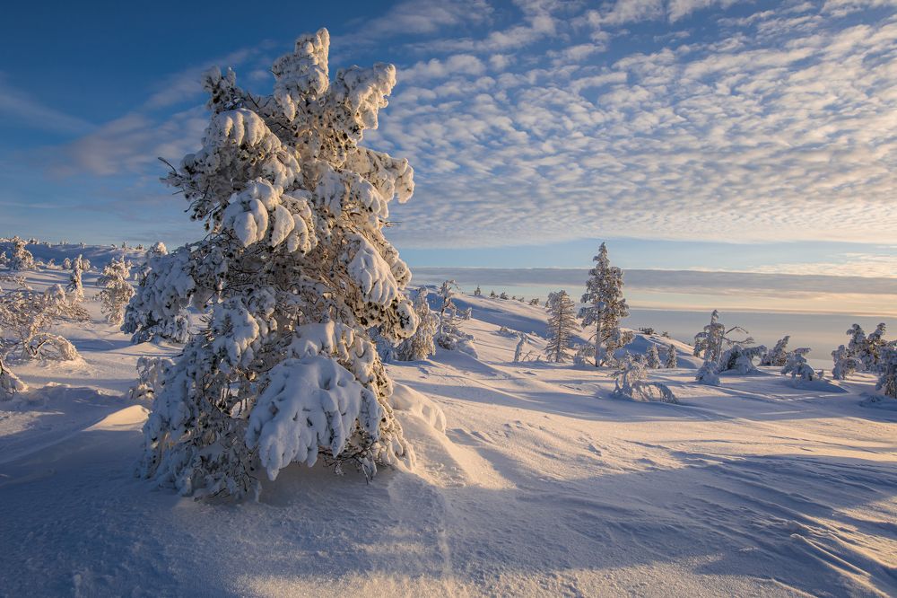 Гора Волосяная, Кандалакша
