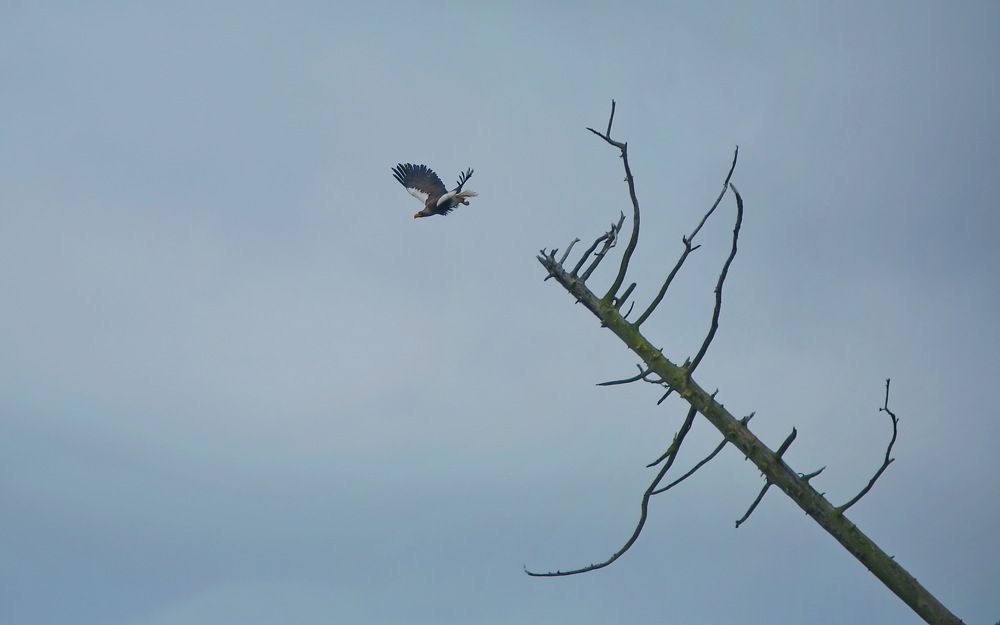 Photograph by VictОr