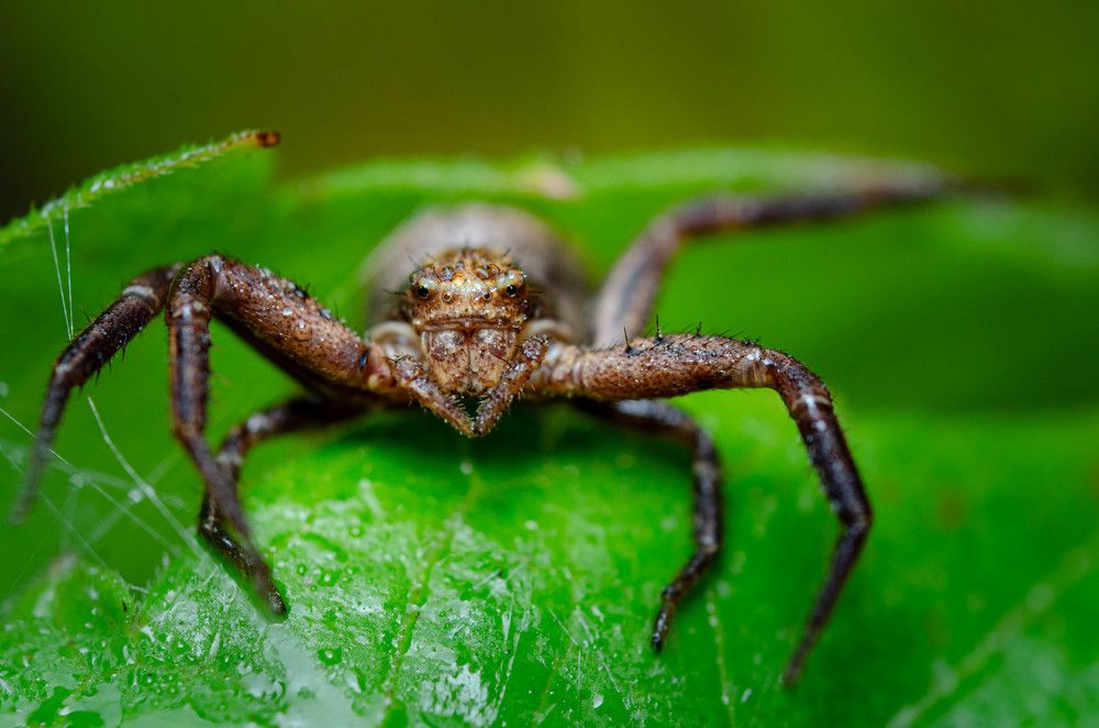 Photograph by Андрей Лысаченко