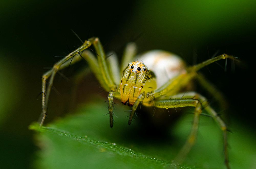 Photograph by Андрей Лысаченко