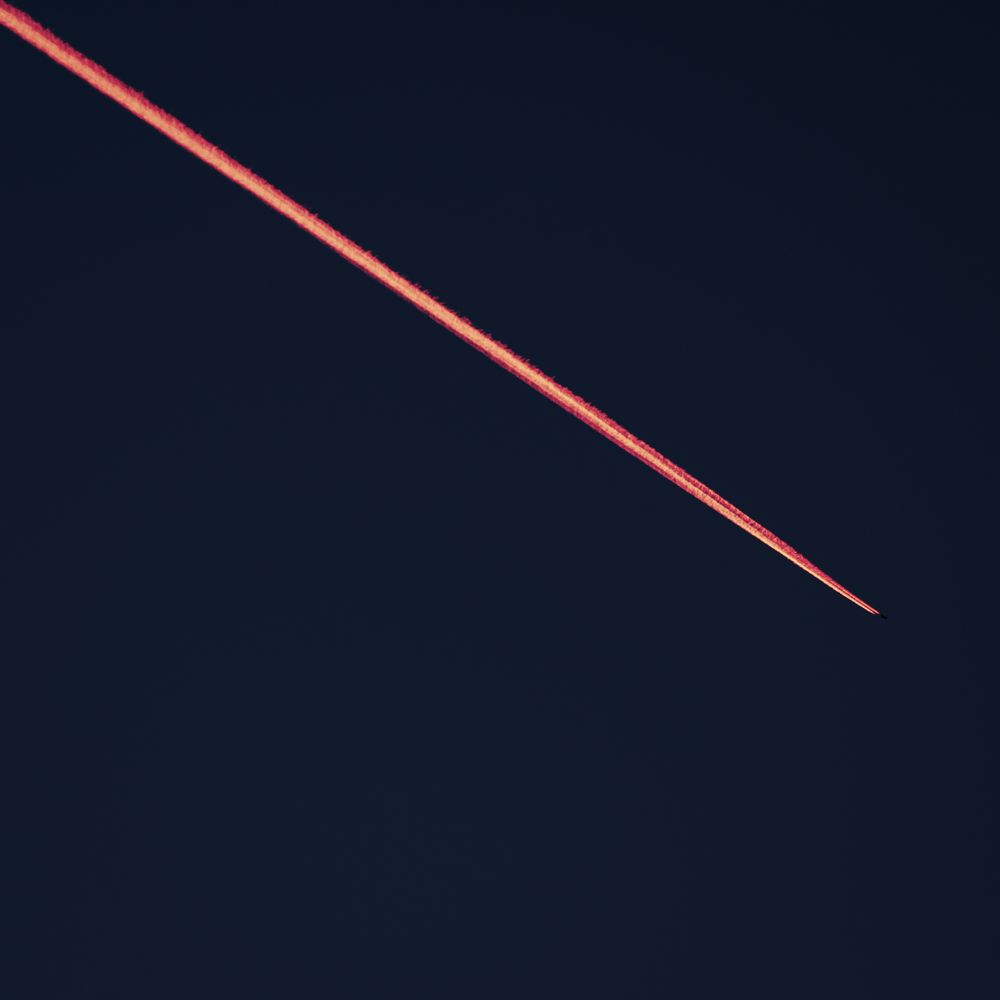 Photograph by Myles Barfield