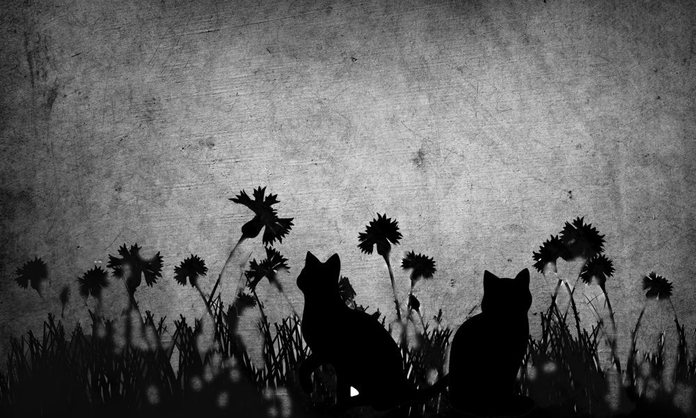 Photograph by Purple sunshine