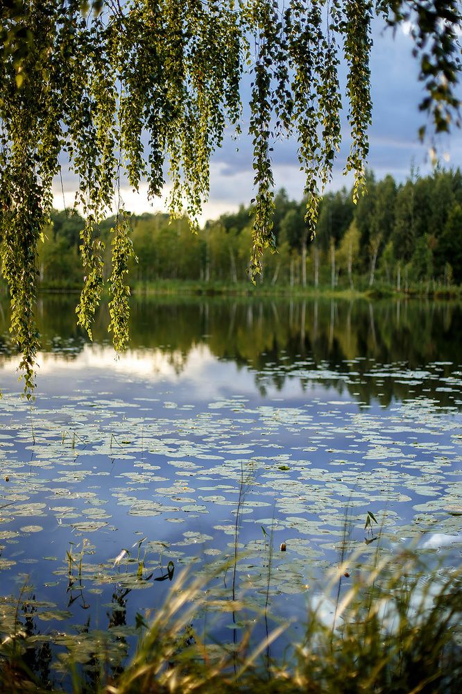 Photograph by Ольга Кобринская