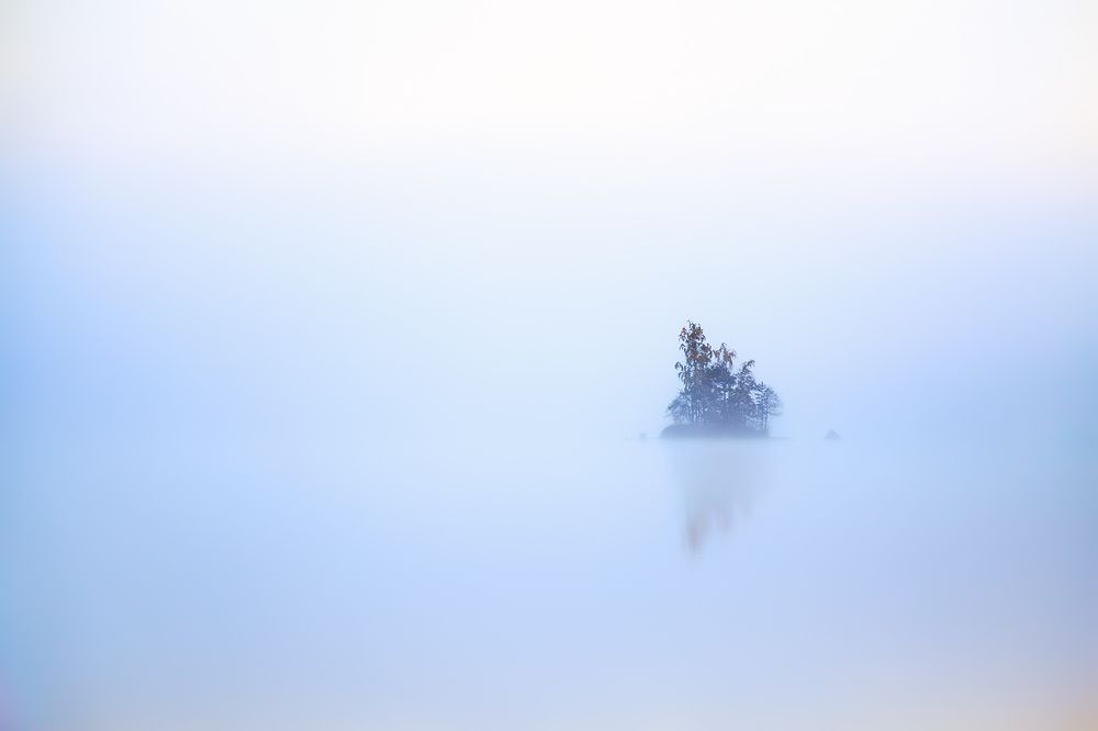 In the fog