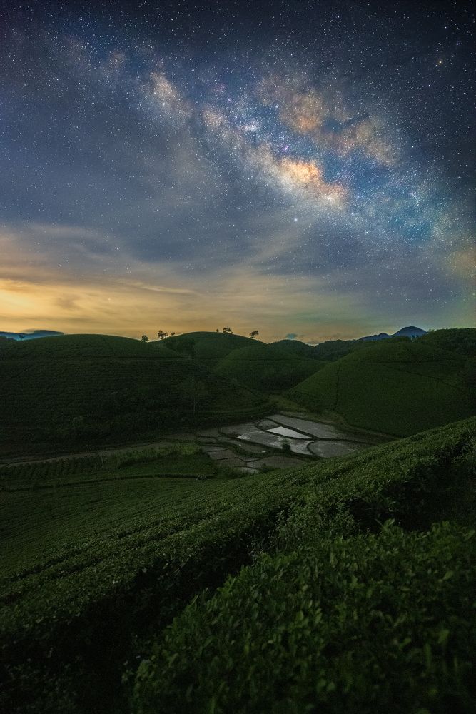 Photograph by Hoàng Hiếu