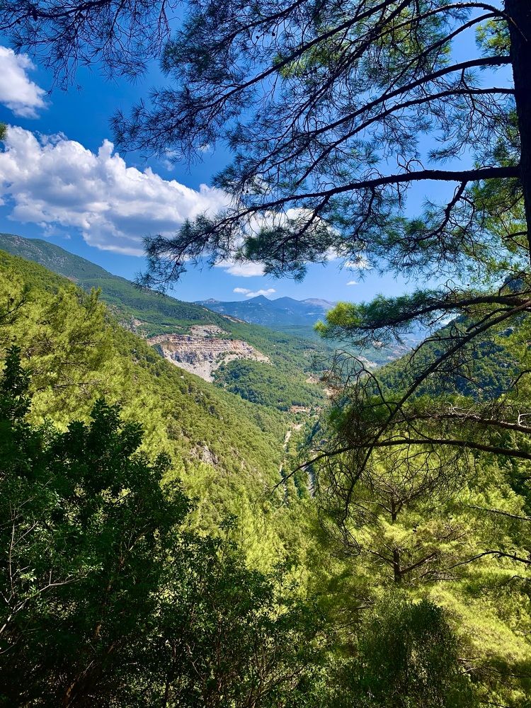 Photograph by Ольга Ходурская