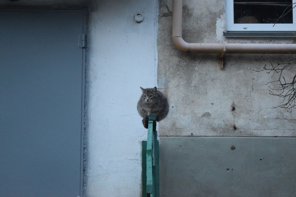 Photograph by Светлана