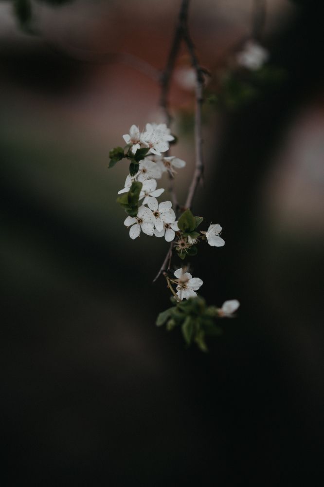 Фотография автора Виктория Воробьева