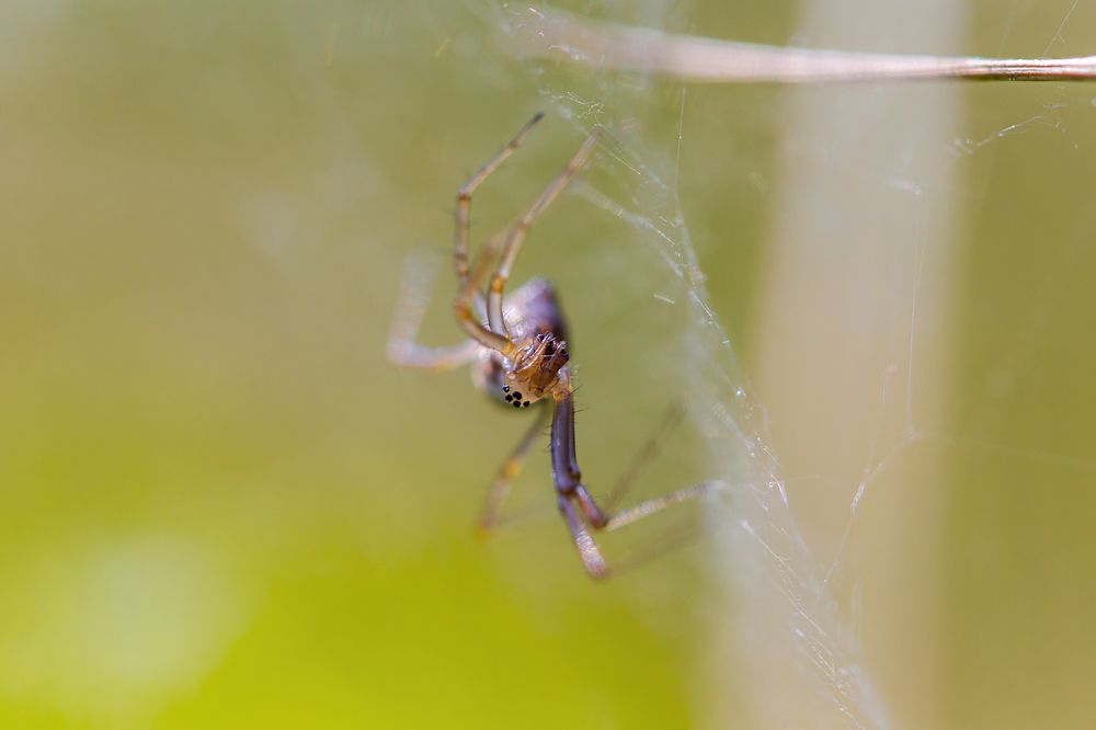 Photograph by Efremenko Nikita