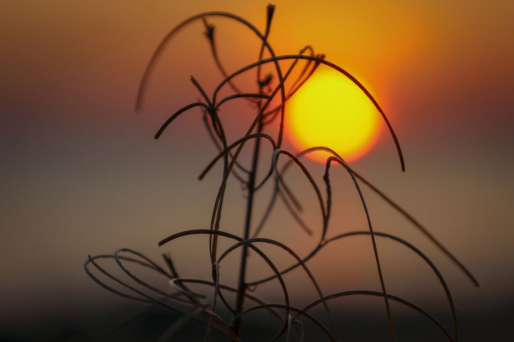 Photograph by Андрей