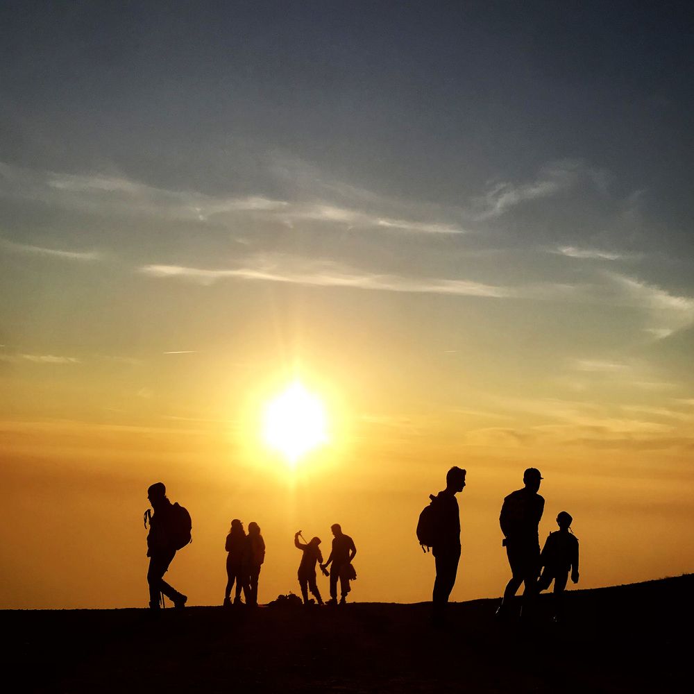 Life under the day light