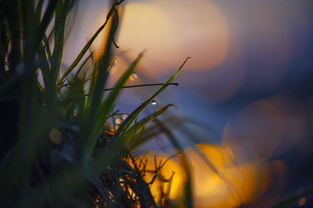 Photograph by Андрей